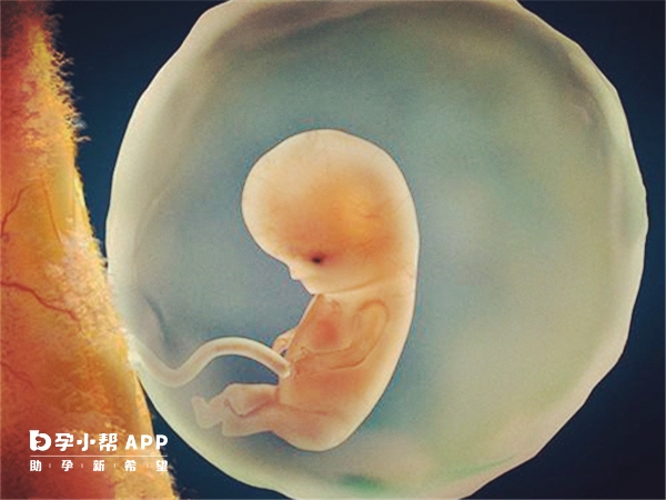 上海中山医院试管婴儿成功率：鲜胚和冻胚妊娠率有高低