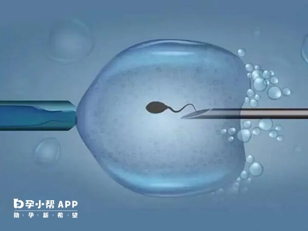 河北省人民医院试管婴儿成功率：鲜胚、冻胚、囊胚有高低