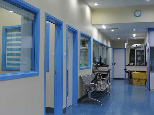 新疆高人气助孕机构排行榜揭晓，军区总医院排名第二
