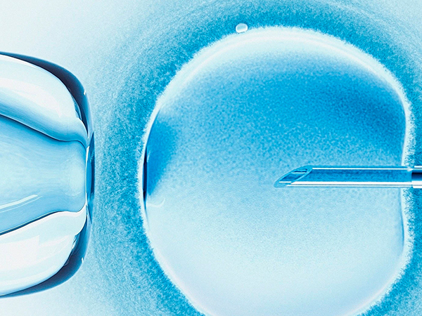 胚胎移植前期要注意这些症状，可能会导致你胎停育