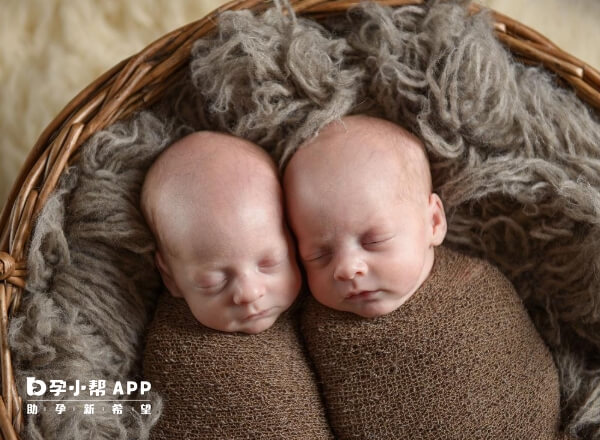 同卵双胞胎会长得一样