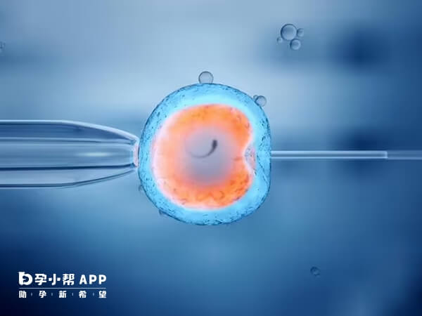 胚胎成功有胎芽胎心出血怎么办