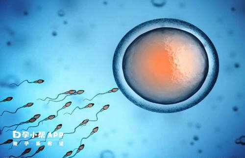影响胚胎质量的因素