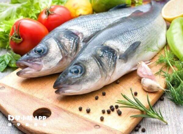 鱼肉富含哪些营养元素