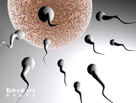 精子不完全液化的症状有哪些