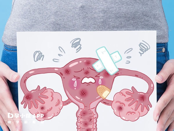 试管婴儿内膜薄用哪种方案移植