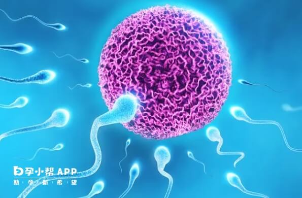 精子活力差对胚胎的影响