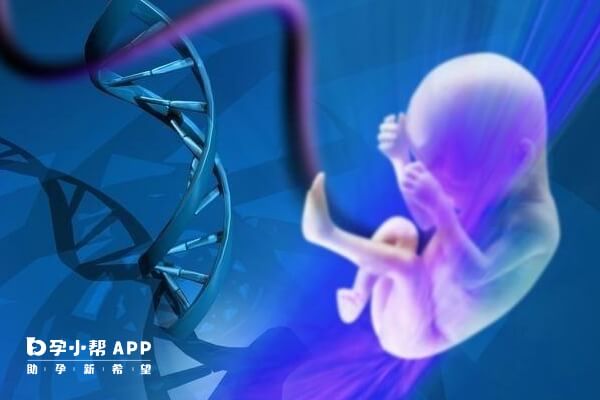 二次胚胎移植时间受什么影响
