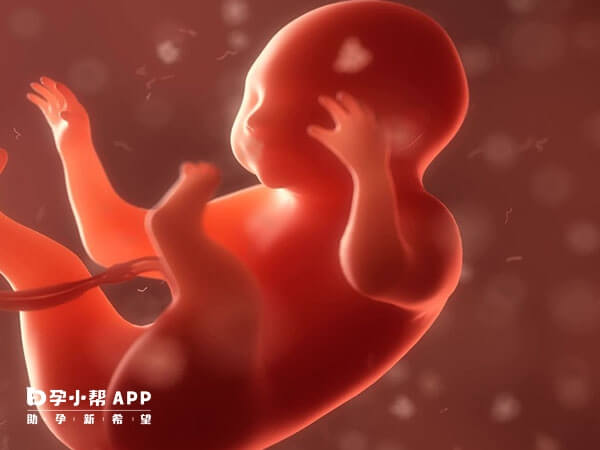 内膜取样休息多久适合移植胚胎