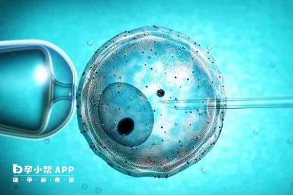 为什么试管婴儿植入1-2个胚胎