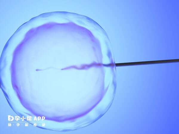 冻胚移植以后多久可以变成囊胚