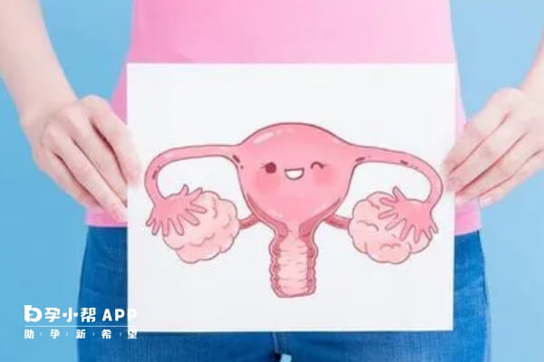 胚胎移植后宫腔积液的原因