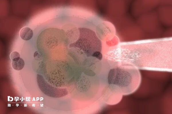 胚胎移植后肚子为什么麻麻的