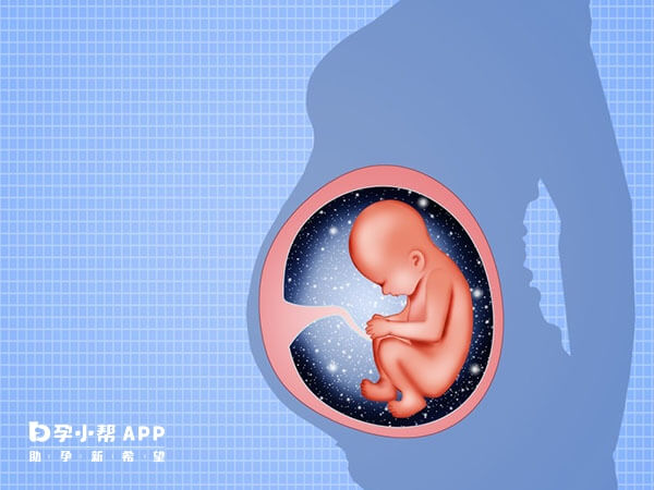九江医院试管婴儿需要什么条件