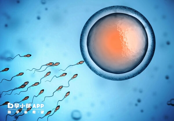 为什么胚胎移植前能打球蛋白