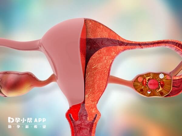 子宫肌瘤的常见临床症状有哪些