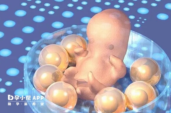 囊胚移植后翻身应该注意什么