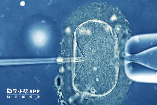 为什么鲜胚移植当天能洗澡