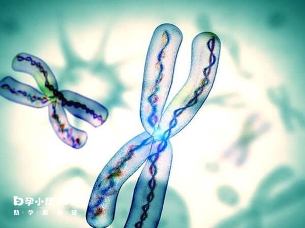 染色体重复为什么能做三代试管
