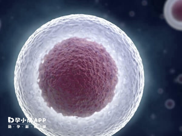 为什么胚胎冷冻后不再生长发育