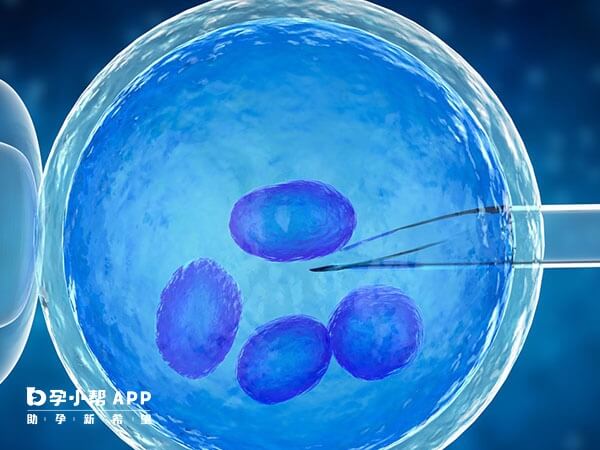 影响试管胚胎停止发育的因素