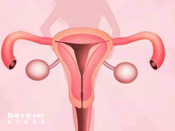 子宫内膜癌明显症状有哪些