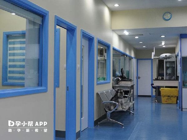 哈尔滨红十字医院试管如何