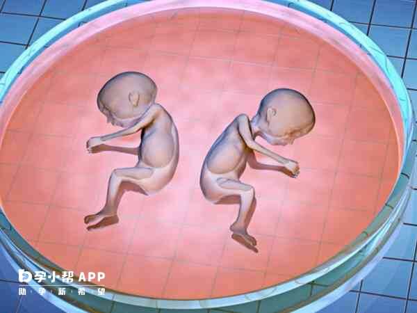 做试管婴儿能生双胞胎