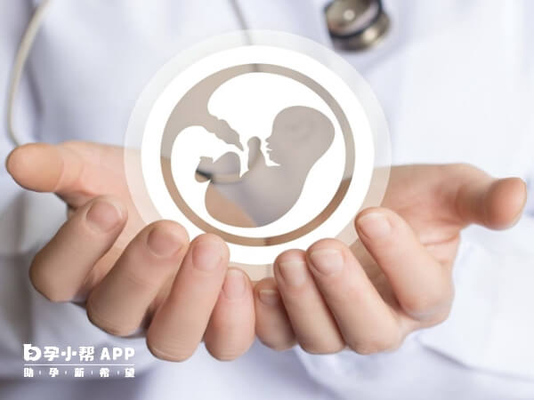 北京大学人民医院试管婴儿成功率与胚胎数量有关