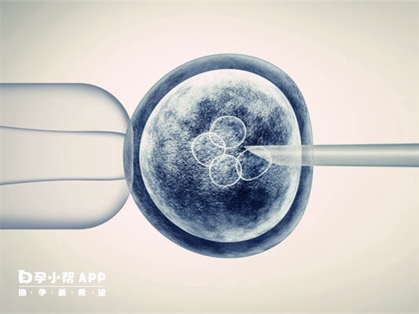上海曙光医院做试管婴儿需要1到2个月