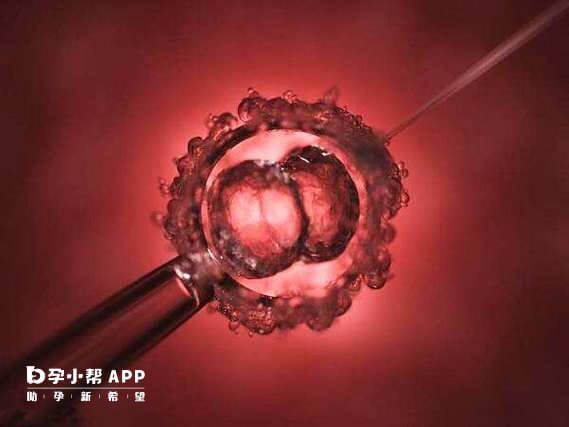 试管移植2个胚胎就可能会是双胞胎