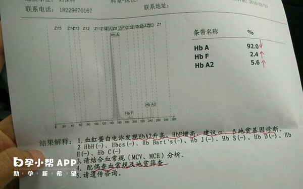 地贫做试管还会不会遗传给孩子