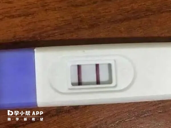 无优势卵泡做试管能否成功