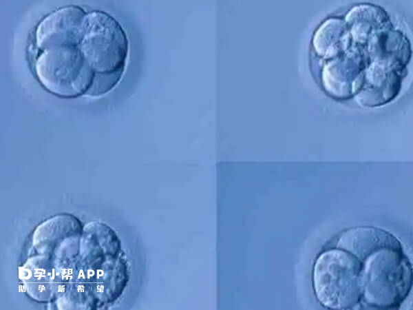 试管胚胎级别划分标准