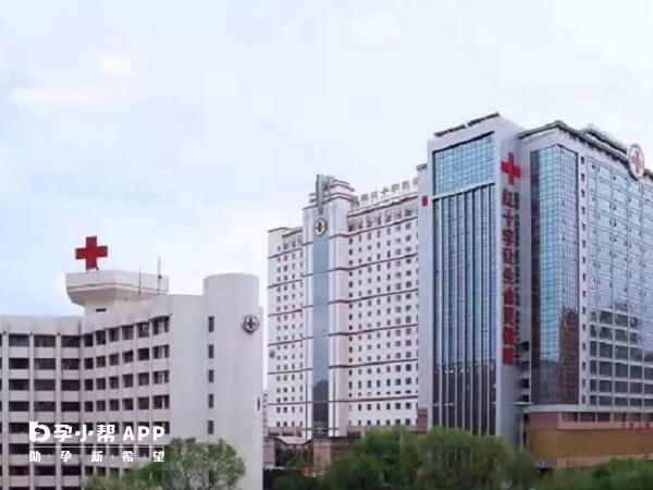 西宁红十字医院试管成功率高不高