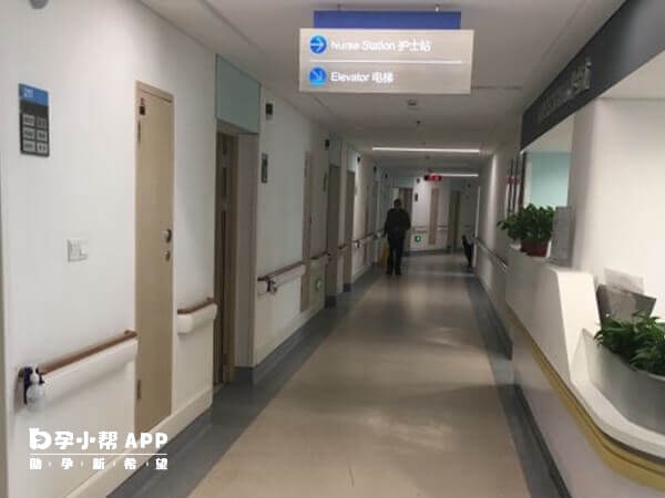 湛江中心人民医院助孕好不好