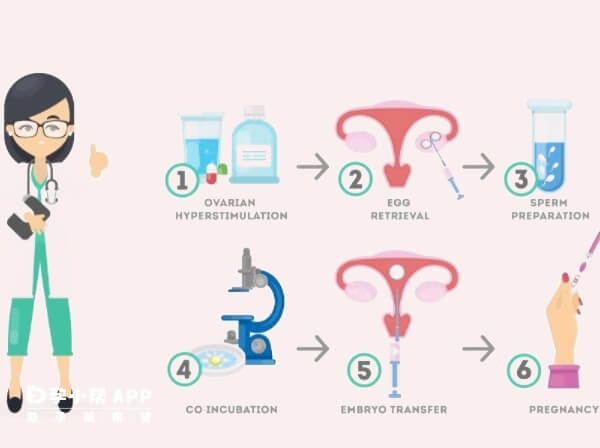 试管婴儿流程仅需8步骤