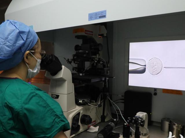 体外受精-胚胎移植(IVF-ET)