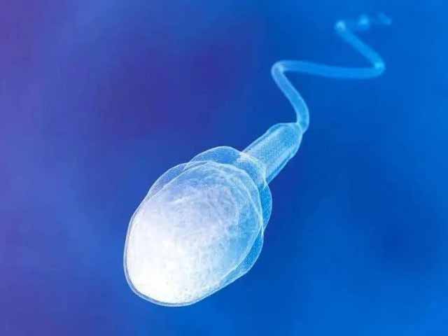 精子DNA碎片化
