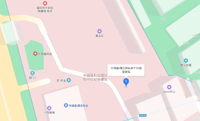 上海国妇婴地址
